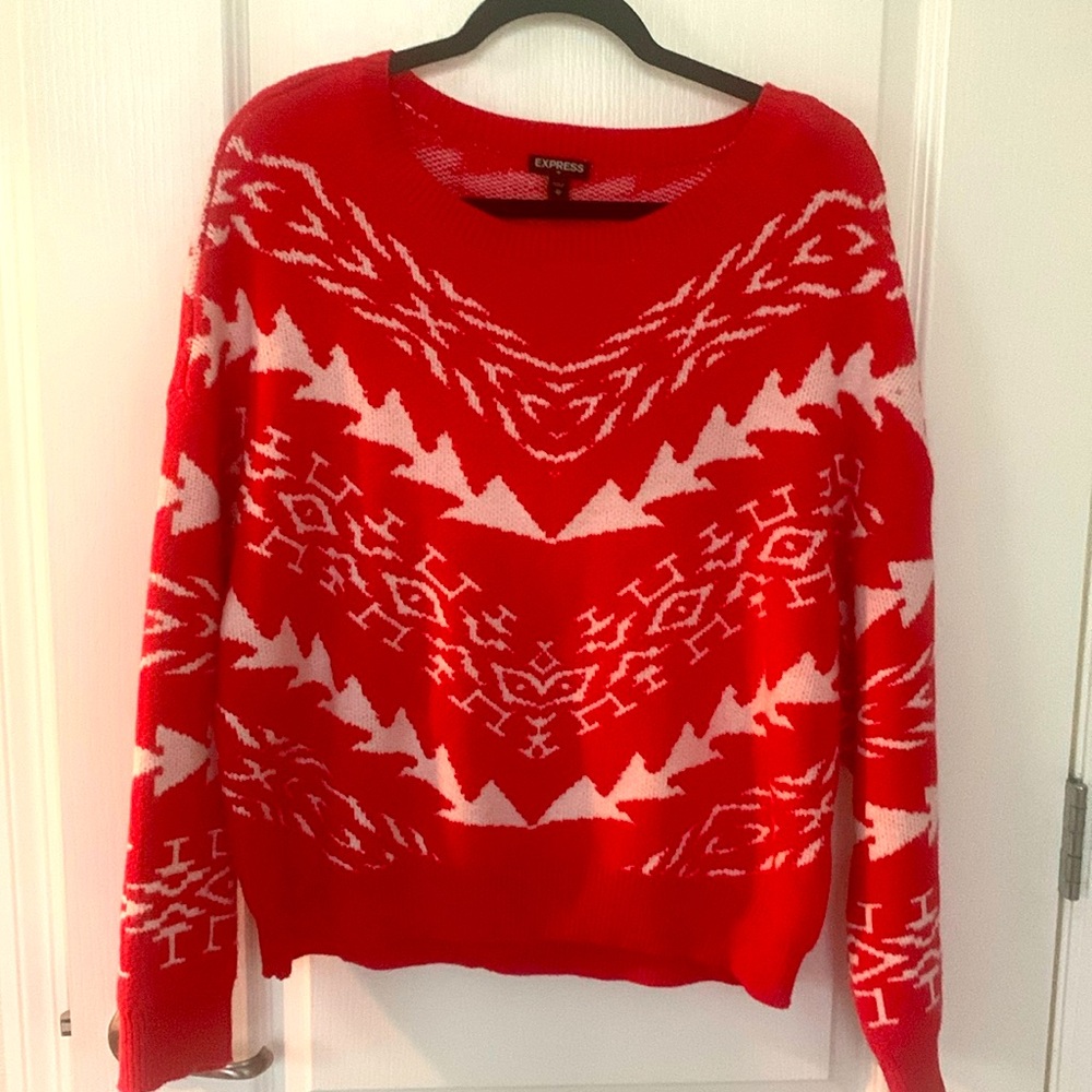 Express Sweater